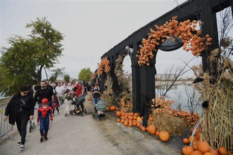 Cum Ajungi La Hallo Fest De Pe Lacul Morii Reguli I Limit Ri