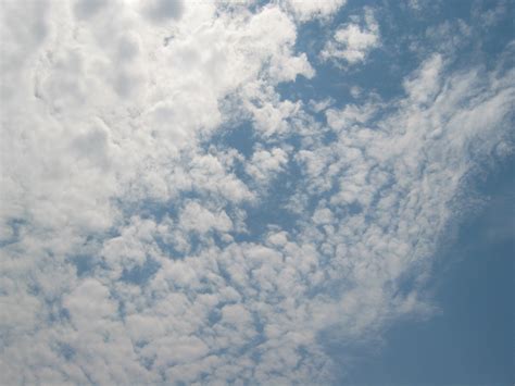 Altocumulus Clouds