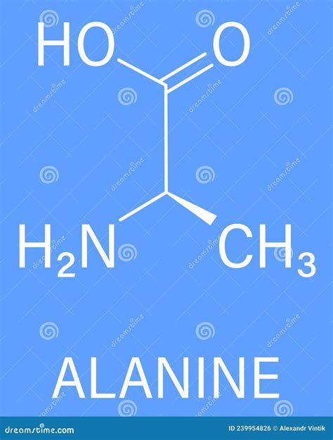 Alanine or L-alanine, Ala, a, Amino Acid Molecule. Skeletal Formula ...