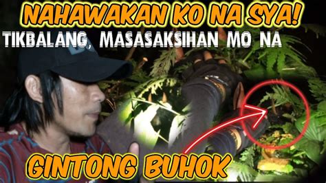 Nahawakan Ko Ang Gintong Buhok Ng Tigbalang Storyang Kilabot Tv YouTube