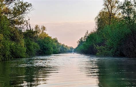 The Danube Delta