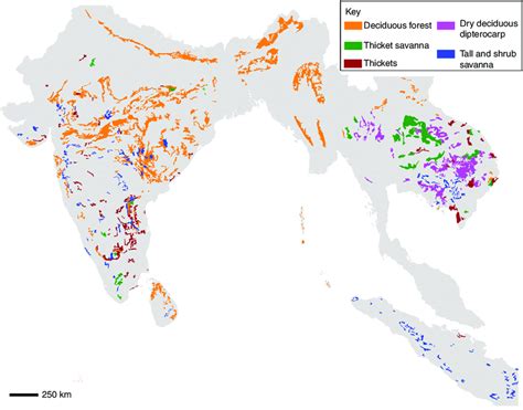 Present day extent of mixed tree-grass vegetation in continental south ...