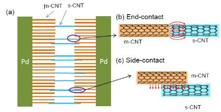 schematic   aligned arrays  cnt assembled