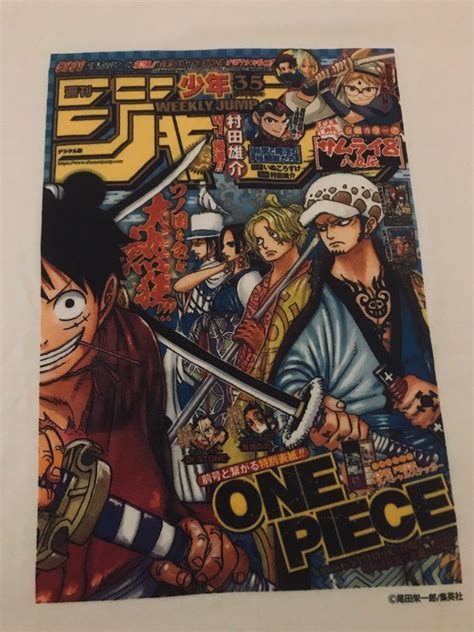 Anime One Piece Manga Panel Wano Kuni, Men's Fashion, Tops & Sets ...