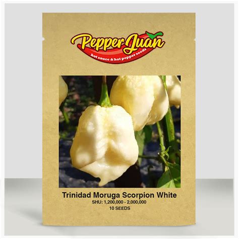 Trinidad Moruga Scorpion White Pepper Seeds Pepper Juan