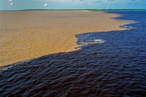 O Que Fazer Em Manaus Pontos Tur Sticos Imperd Veis