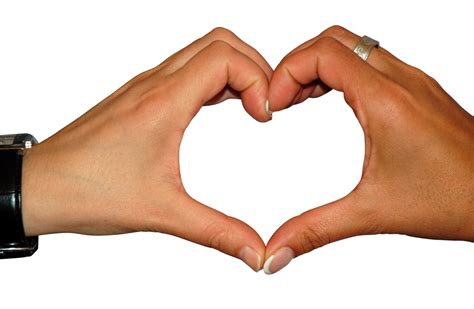 hart    hands png image purepng  transparent cc png