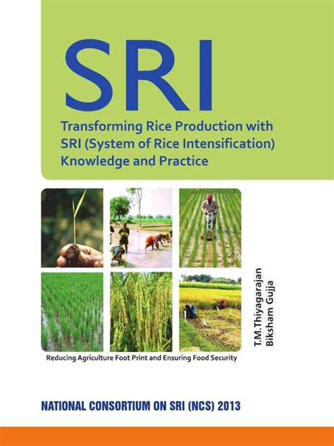 Sri Book Final Version Pdf Rice Green Revolution