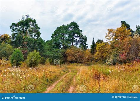 Paisagem Rural Um Caminho Na Floresta Do Outono Foto De Stock