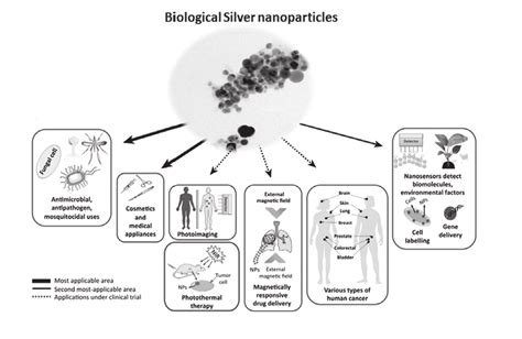 Schematic Diagram Of Various Applications Of Silver Nanoparticles