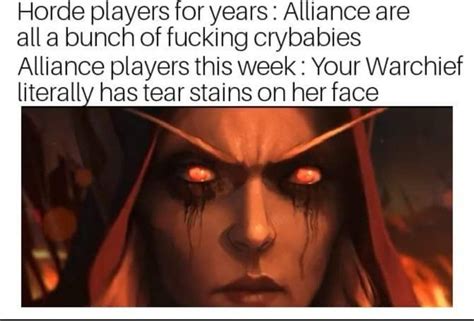 Pin by nope nope on .ⓌⓄⓌ. | World of warcraft game, Warcraft funny ...