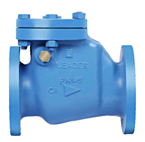 Ci A Cast Iron Reflux Valve Pn Flanged Leader Valves Limited