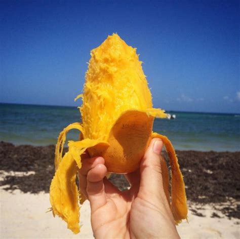 Just Peel It Learn How To Eat A Mango Without Following Instructions