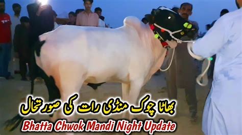 Today Taxila Mandi Latest Update May 2024 Daily Vlogger Bakra Eid