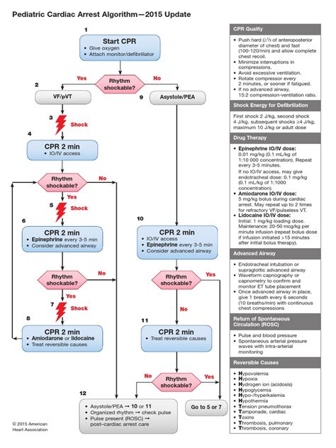 Pals Cardiac Arrest Algorithm Pdf Cardiopulmonary Resuscitation