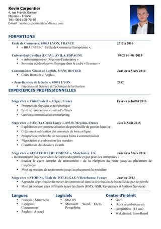 Curriculum Vitae 2016 PDF