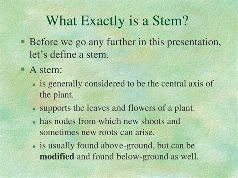 Ppt Stem And Root Modifications Powerpoint Presentation Free