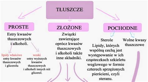 Tłuszcze w organizmie człowieka Dieta Systemowa