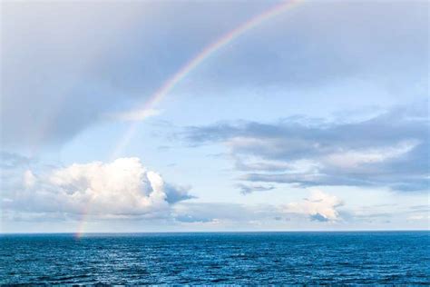 Raggiunto Finalmente L Accordo Sulla Protezione Degli Oceani Bio Pianeta