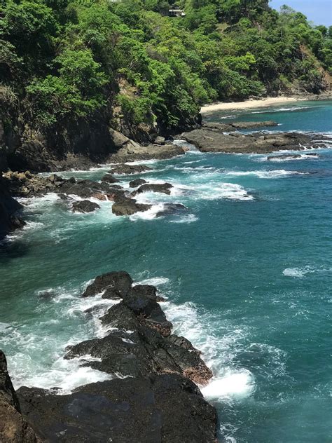 Sardinal Costa Rica All You Need To Know Before You Go 2024