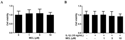 Effect Of Micheliolide Mcl On Chondrocyte Viability A Effect Of