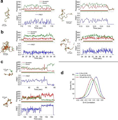 SmFRET Data For Sf MGluR2 Dimers Diffusing Within The Plasma Membrane