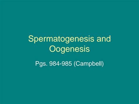 SOLUTION Spermatogenesis And Oogenesis Studypool