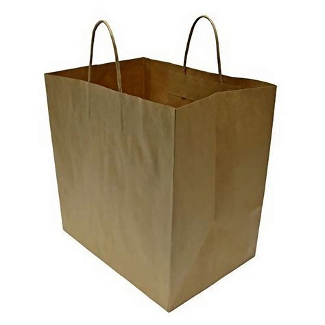 Plain Brown Rectangular Paper Carry Bag Capacity 1 To 5 Kg Yes At Rs