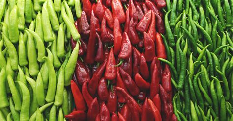 Photo of Chili Peppers · Free Stock Photo