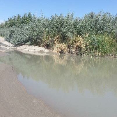 deformation processes   interface   inlet channel