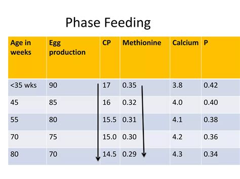 Phase feeding in layers | PPTX