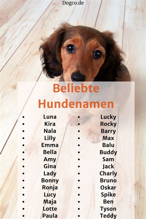 Beliebte Hundenamen Je 15 männliche weibliche Namen mit Bedeutung