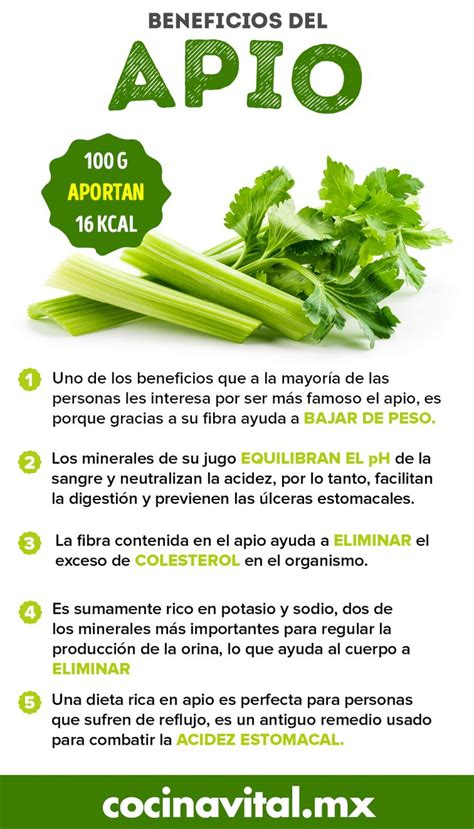 Fabulosos Beneficios Del Apio Frutas Y Verduras Beneficios