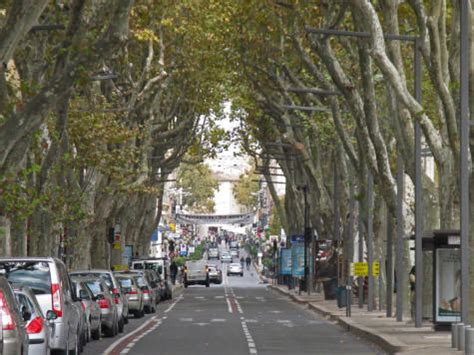 Cours Jean Jaures - Main Street in Avignon France