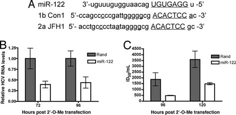 Interfering With Mir 122 Inhibits Hcv Replication A Alignment Of