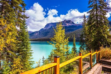 Emerald Lake Yoho NP Rocky Mountains Jigsaw Puzzle