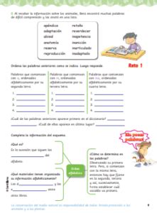 Libro De Ortograf A Pdf Para Ni Os Los Materiales Educativos