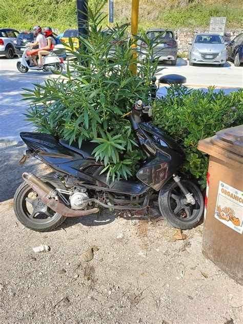 Numana La Polizia Ritrova Un Motorino Rubato Nascosto Tra Le Siepi