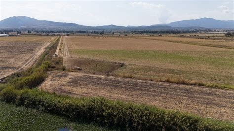Venta De Hectáreas Para Siembra En Jalisco – Terreno Ejidal Plano Con