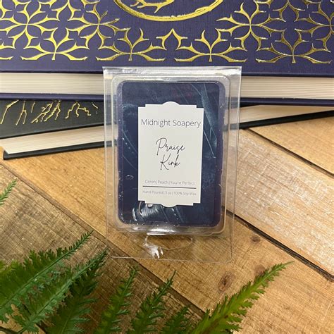 Praise Kink Wax Melt Literary Inspired Bookish Wax Melts Nsfw Etsy