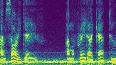 What is a Spectrogram? The Producer's Guide to Visual Audio | LANDR