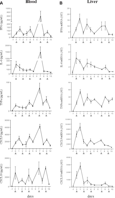 Figure 1 From Use Of A Mouse Model To Identify A Blood Biomarker For