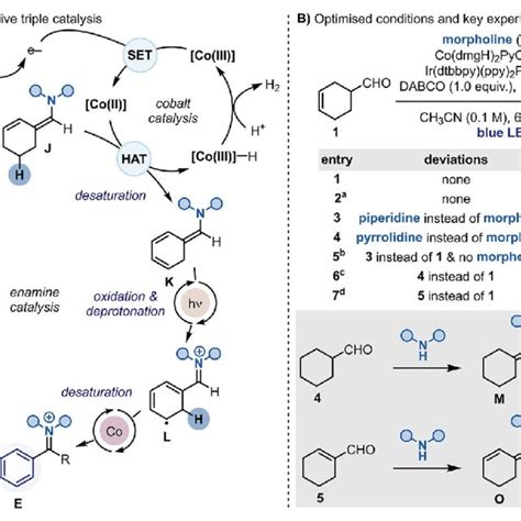 Scheme 2 A Proposed Synergistic Enamine Photoredox Cobalt Triple