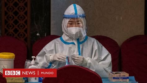 Origen Del Coronavirus Hallazgos Y Inc Gnitas Que Deja El Informe