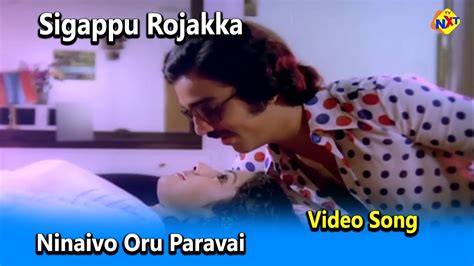 Ninaivo Oru Paravai Video Song Sigappu Rojakkal Movie Songs Kamal