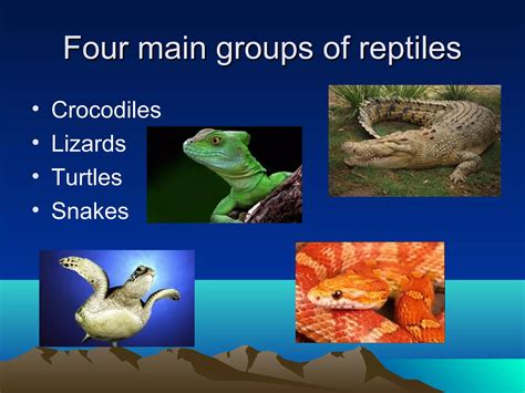 Reptiles Ppt PPT