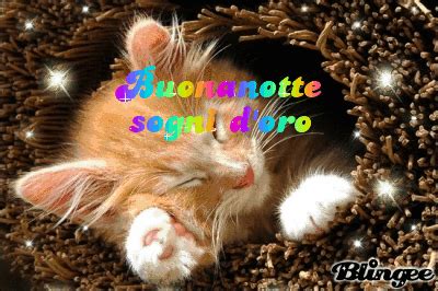 Buonanotte Sogni D Oro Picture Blingee