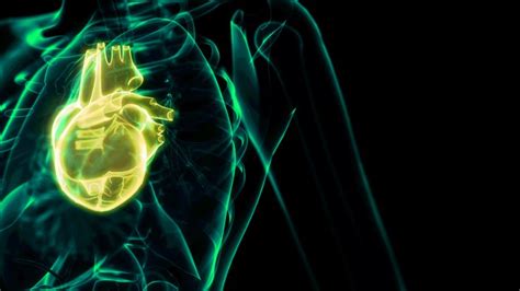 Nhs Unveils New 3d Heart Scan Technology