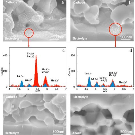 A Sem Micrograph Of The Cathodeelectrolyte Interface Of Cell 1 After