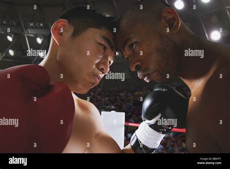 Two Boxers Sparring Stock Photo Alamy